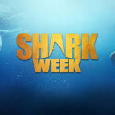 Team Page: Gutter Sharks